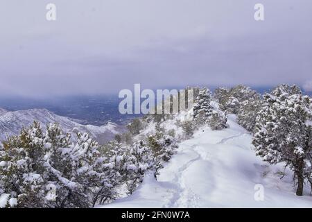 Blick auf den Little Black Mountain Peak Wanderweg von Salt Lake City, im Winter über den Bonneville Shoreline Trail, Wasatch Front Rocky Mountains, Ut Stockfoto