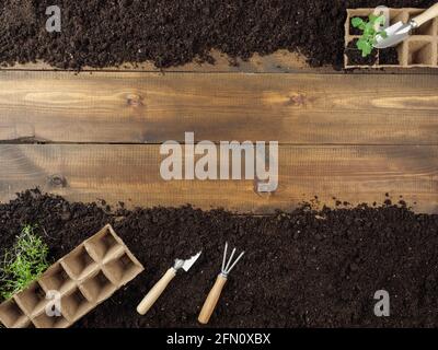 Torftöpfe und Gartengeräte befinden sich auf dem Boden. Holzbretter in der Mitte. Speicherplatz kopieren. Draufsicht. Stockfoto