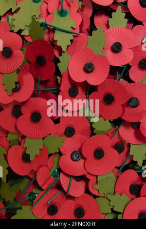 Schachtel mit fertigen Mohnblumen, The Royal British Legion's Poppy Factory, 20 Petersham Road, Richmond, London, Großbritannien. Die Poppy Factory beschäftigt Ex-Service-Mitarbeiter, die Mohnblumen, Erinnerungskreuze, Sprays und Kränze für den jährlichen Appell- und Gedenktag der Royal British Legion anstellen. Die Poppy Factory ist auch für die Anpflanzung und Ausrichtung des „Field of Remembrance“ in der Westminster Abbey verantwortlich. The Royal British Legion's Poppy Factory, 20 Petersham Road, London, Großbritannien. 16 Okt 2013 Stockfoto