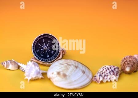 Kompass und Muscheln auf hellgelbem Hintergrund, marine Zusammensetzung. Stockfoto