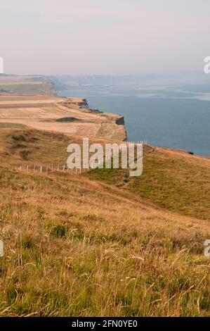 Blick über den Ärmelkanal von GR 21 coastal path auf den Klippen, Criel-sur-Mer, Finistère (76), Normandie, Frankreich Stockfoto