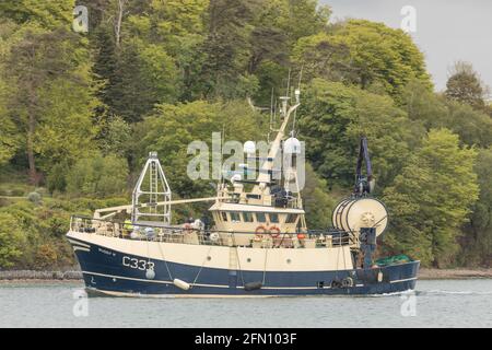 Crosshaven, Cork, Irland. Mai 2021. Trawler Buddy M kehrt spät am Abend von den Angelplätzen nach Hause zurück, als sie zum Pier in Crosshaven, Co. Cork, Irland, fährt. - Credit; David Creedon / Alamy Live News Stockfoto