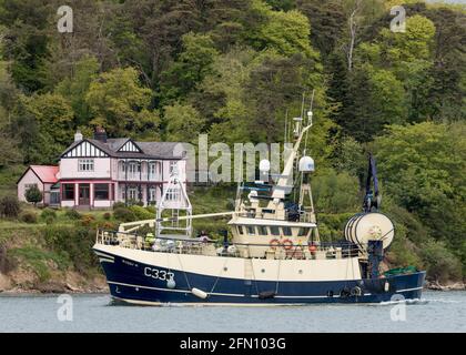 Crosshaven, Cork, Irland. Mai 2021. Trawler Buddy M kehrt spät am Abend von den Angelplätzen nach Hause zurück, als sie zum Pier in Crosshaven, Co. Cork, Irland, fährt. - Credit; David Creedon / Alamy Live News Stockfoto