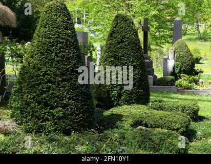 friedhof oder Friedhof mit alten Granit- und Marmorkreuzen und Grabsteine Stockfoto