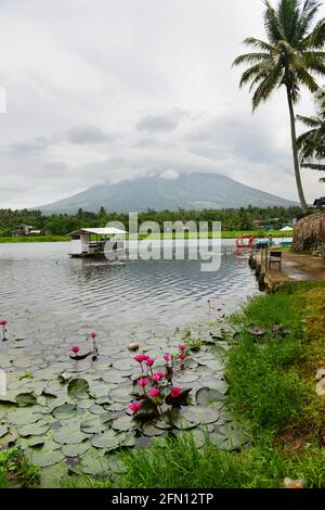 Der Mayon Vulkan mit einem schönen Wolke bedeckte. Stockfoto