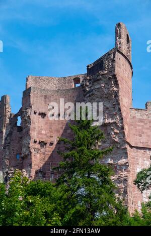 Heidelberg Palace in Deutschland an einem sonnigen Tag und blauen Himmel s.. Stockfoto