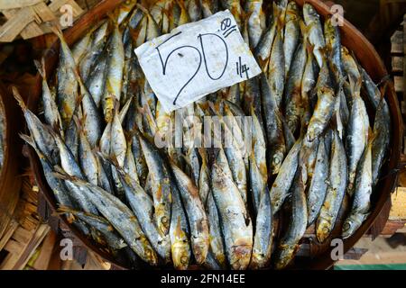 Der lebhafte Markt in Sorsogon, Bicol, den Philippinen. Stockfoto