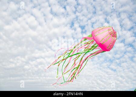 Drachen fliegen gegen blau bewölkten Himmel frei im Wind mit verschiedenen Farben. Stockfoto