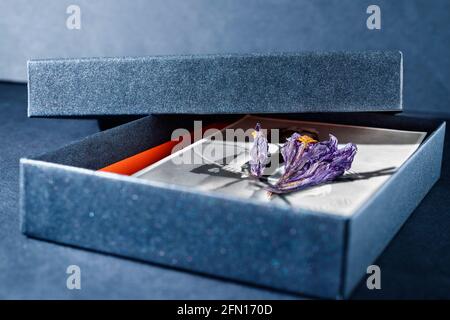 Ein schwarz-weißes altes Foto in schwarzer Box, getrocknete lila Blüten auf der Oberseite, im Hintergrund Box Deckel Stockfoto