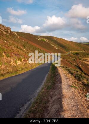 Einsame Straße in wilder Landschaft in der Bucht von Écalgrain in der Normandie, Frankreich. Stockfoto