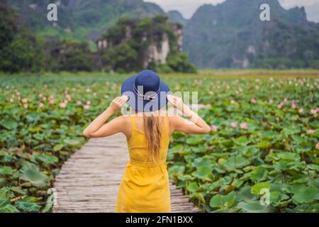 Junge Frau in gelbem Kleid auf dem Weg zwischen dem Lotussee. Mua Cave, Ninh Binh, Vietnam. Vietnam wird nach der Quarantäne Coronovirus COVID 19 wieder geöffnet Stockfoto
