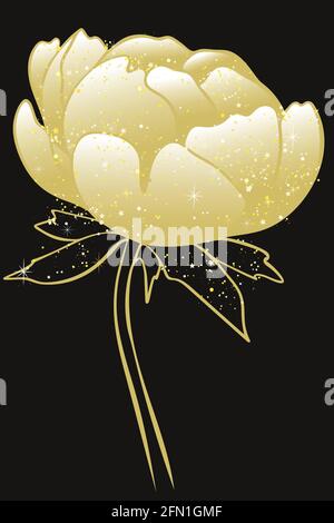 Einzelne goldene Pfingstrose auf schwarzem Hintergrund. Vektor. Leuchtende anmutige Blume. Blühende Gartenblume. Stock Vektor