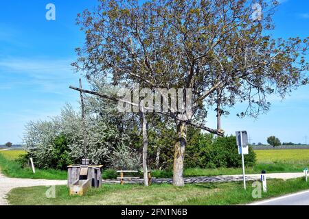 Österreich, Rastplatz am traditionellen alten Ziehbrunnen und Weinfelder im Nationalpark Neusiedler See-Seewinkel und Walnussbaum mit seinem ersten Shoo Stockfoto