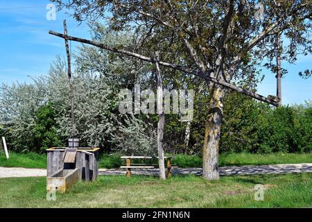 Österreich, Rastplatz am traditionellen alten Ziehbrunnen und Weinfelder im Nationalpark Neusiedler See-Seewinkel und Walnussbaum mit seinem ersten Shoo Stockfoto