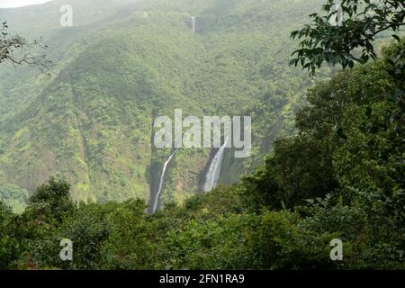 Herrliche Wasserfälle in den tiefen dichten Wäldern der westlichen Ghats. Blick von einem Aussichtspunkt. Stockfoto