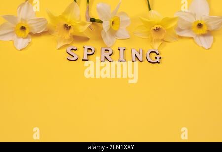 Die Inschrift Freitag ist Frühling in Holzbuchstaben. Daffodil blüht auf einem gelben Hintergrund. Layout. Copyspace Stockfoto