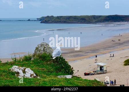 Blick auf South Beach Tenby von der Klippe aus.bei Ebbe sind große Bereiche mit weichem Sand freigelegt, während Urlauber entlang schlendern.Möwen suchen dow. Stockfoto