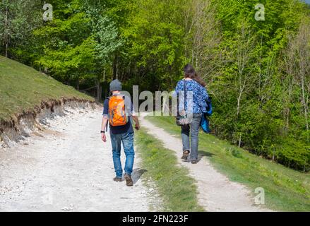 Ein Paar, das auf einem öffentlichen Wanderweg auf dem Monarch's Way im Arundel Park, South Downs National Park in Arundel, West Sussex, Großbritannien, spazieren oder wandern geht Stockfoto