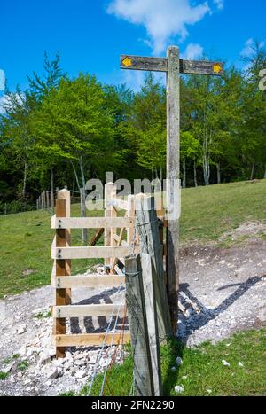 Tor und öffentlicher Fußweg auf einem Teil von Monarch's Way im Arundel Park, South Downs National Park im Frühling in Arundel, West Sussex, Großbritannien. Stockfoto