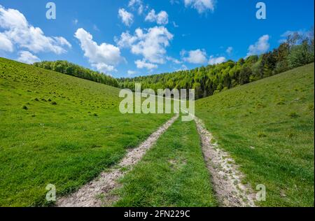 Country Path, Teil von Monarch's Way im Arundel Park (Norfolk Estate), South Downs National Park im Frühjahr in Arundel, West Sussex, England, Großbritannien. Stockfoto