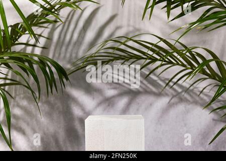 Werbestand für Kosmetikprodukte. Weißes Holzpodium auf grauem Betonhintergrund mit Palmblättern und Schatten. Leerer Sockel zur Anzeige von Produkt p Stockfoto