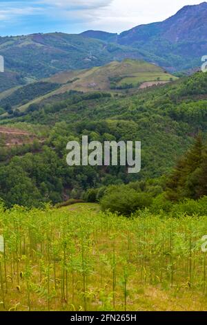 Atemberaubende Aussicht auf die Berge im Baskenland Stockfoto