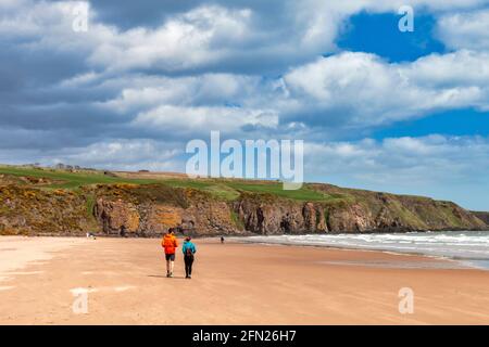 LUNAN BAY UND STRAND ANGUS SCHOTTLAND WANDERER AUF DER SÜDLICHEN ENDE DES SANDSTRANDES UND KLIPPEN MIT ZWEI HÖHLEN Stockfoto