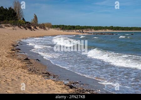 Boyardville Strand, Ile d'Oleron, Charente-Maritime (17), Nouvelle-Aquitaine Region, Frankreich Stockfoto