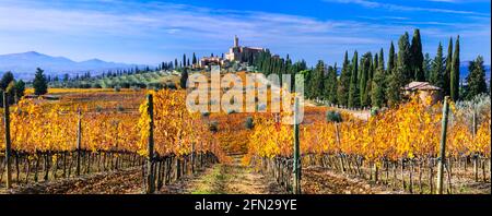 Herbstlandschaft. Landschaft der Toskana. Goldene Weinberge und Schloss Castello di Banfi. Italien Stockfoto