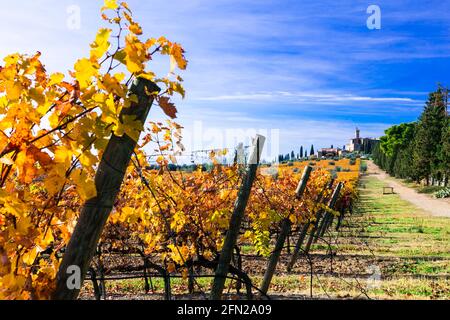 Herbstlandschaft. Landschaft der Toskana. Goldene Weinberge und Schloss Castello di Banfi. Italien Stockfoto