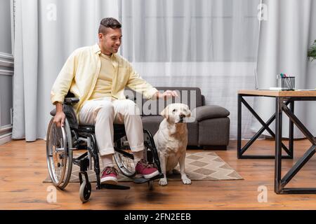 Junger behinderter Mann sitzt im Rollstuhl in der Nähe von labrador Hund Zu Hause Stockfoto
