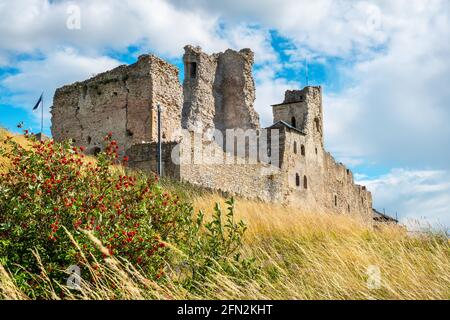 Blick auf die Ruinen der Burg des Livländischen Ordens in Rakvere. Estland, Die Baltischen Staaten, Europa Stockfoto