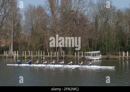 Damen Rudern Eight Henley on Thames Stockfoto