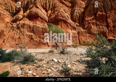 Der Fahrer fährt bei windigem Wetter in Kasachstan mit dem Mountainbike in der Wüstenwand des Canyon in der Nähe des Baumes. Konzept für Extremsport und Outdoor-Erholung. Stockfoto