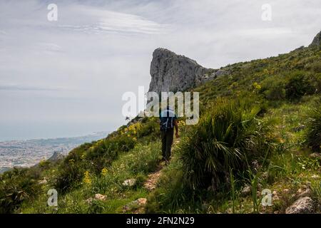 Mann Wanderer im Wald Stockfoto