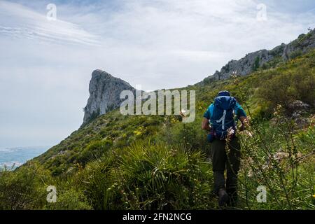 Mann Wanderer im Wald Stockfoto