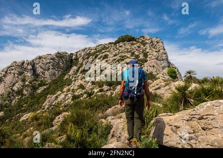 Mann Wanderer im Wald Stockfoto