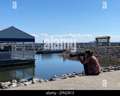 DER FOTOGRAF SITZT AM PIER UND FOTOGRAFIERT VÖGEL MIT LANGER LINSE WÄHREND DER COVID-19-PANDEMIE. Stockfoto