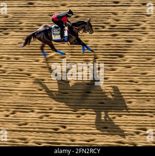 29. März 2017, Baltimore, MD, USA: Mai 13, 2021: Die Kentucky Derby-Siegerin Medina Spirit und der Trainingsfahrer Umberto Gomez bereiten sich auf die Preakness Stakes auf der Pimlico Race Course vor, nachdem vor fast zwei Wochen ein positiver Test nach dem Roses-Run bei Churchill Downs gemeldet wurde. Scott Serio/Eclipse Sportswire/CSM Stockfoto