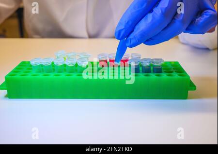 Europäische Frau, die mit Corona-Virus-Proben von Patientinnen arbeitet Handschuhe als Sicherheitsmessung Stockfoto