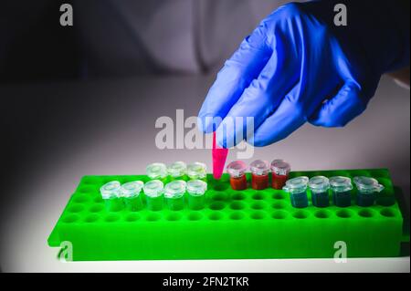 Forscher, die mit Patientenproben des Corona-Virus in einem Molekül arbeiten Biologielabor trägt Handschuhe als Sicherheitsmessung Stockfoto