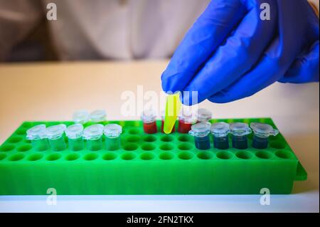 Wissenschaftler, der grüne chemische Lösung in eppendorf-Röhrchenröhrchen herausnimmt Rack auf einem weißen Tischhintergrund für die pharmazeutische Forschung Stockfoto