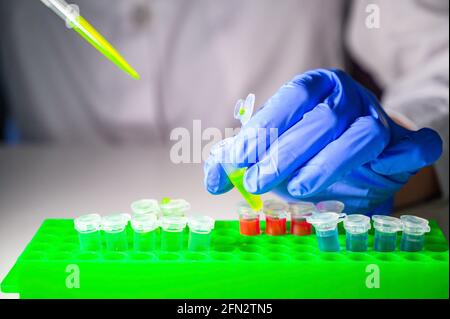 Wissenschaftler, der chemische Lösung in eppendorf-Röhrchen und Pipette herausnimmt Für die biomedizinische Forschung mit Röhrengestell auf einer weißen Bank Hintergrund Stockfoto