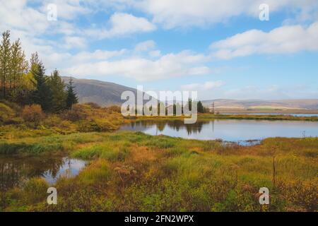 Eine einsame, abgeschiedene, am See gelegene isländische rote Hütte im Wald in der ländlichen Landschaft Islands. Stockfoto