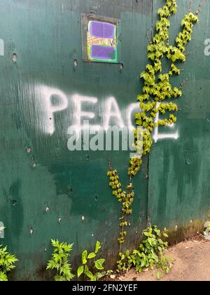 Frieden geschrieben an der Wand einer Baustelle mit einem Hauch von Frühling wächst darüber in Brooklyn, New York. Stockfoto