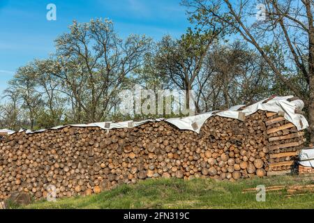 Fein gestapelte Holzstämme, die unter freiem Himmel als Brennholz gelagert werden. Stapel von Feuerhölzern. Holz gestapelt und für den Winter Haufen von Holzstämmen vorbereitet. Stockfoto