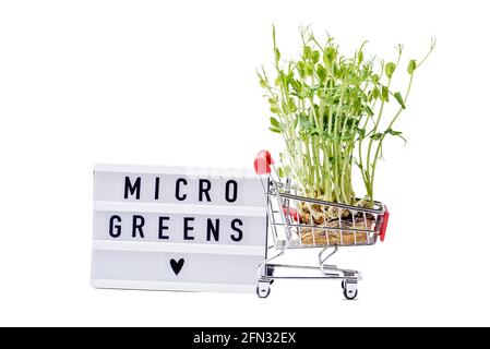 Microgreens im Warenkorb isoliert auf weiß. Microgreens zum Verkauf. Vitamine aus der Natur. Veganer und gesunder Superfood-Lieferservice. Frische Öko f Stockfoto