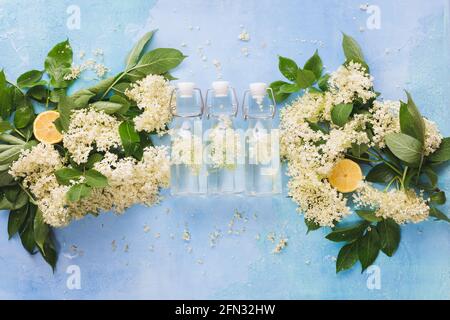 Zutaten für die Herstellung von Elderflower Likör, Elderflower Cordial in kleinen Flaschen auf rustikalem weißen Holztisch. Draufsicht, Leerraum Stockfoto