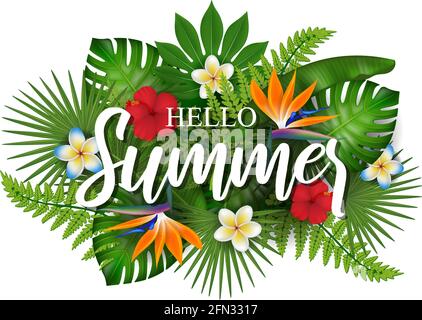 Hallo Sommer Hintergrund mit tropischen Blumen und Blättern Stock Vektor