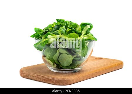 Mungbohnensalatblätter, Maissalat in einer Glasschüssel auf einem Holzbrett, isolieren. Frische Mischung aus grün gewaschenen Blättern (Valerianella locusta). Ernährung und Gesundheit Stockfoto